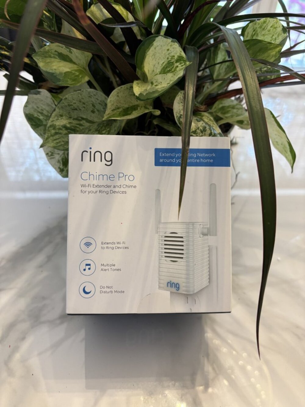 RING Chime Pro